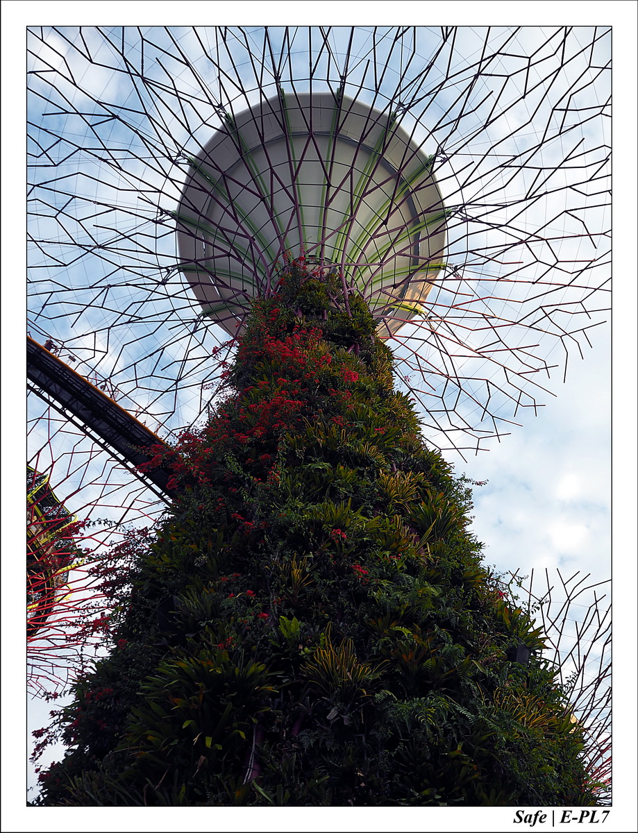 2016 - 07 - Singapour - 39